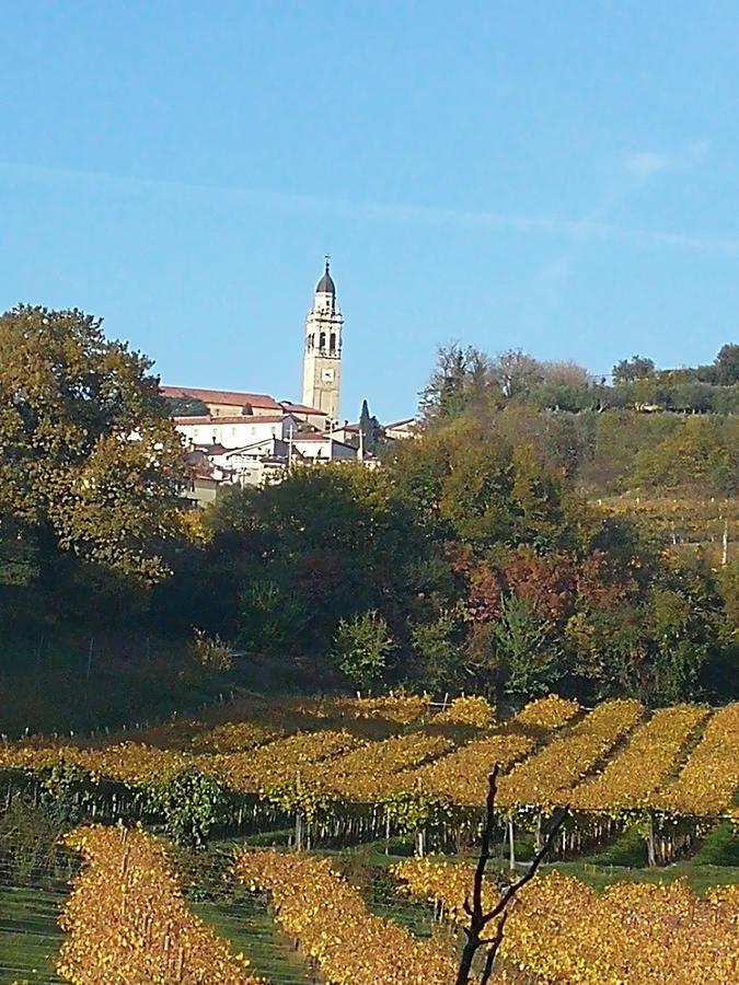 B&B Pontesello Colognola ai Colli Eksteriør billede