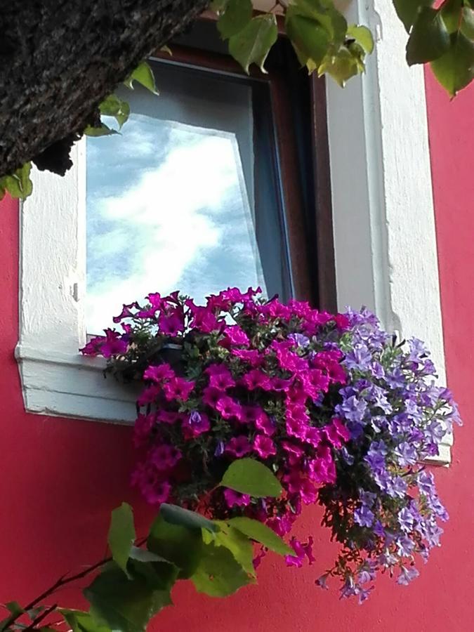 B&B Pontesello Colognola ai Colli Eksteriør billede